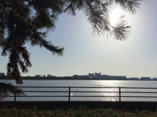 甲子園浜から武庫川を望